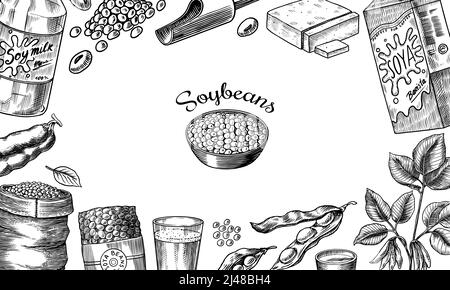 Soybean hand drawn illustration set Stock Vector by ©ananci.art@gmail.com  194750388