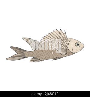 Hand drawn Reef Tropical Fishes. Sea and Ocean Animals Vector Clop art. Stock Vector