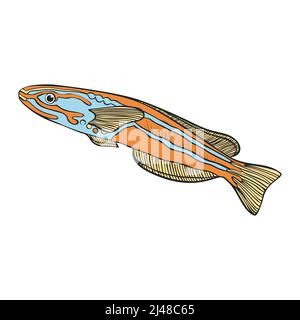 Hand drawn Reef Tropical Fishes. Sea and Ocean Animals Vector Clop art. Stock Vector