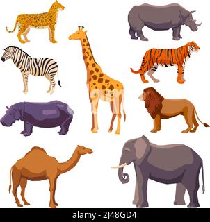 Africa Animal Decorative Set With Leopard Zebra Hippo Giraffe Camel 