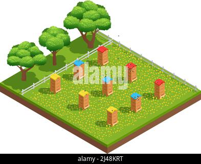 Beekeeping apiary with wooden hives on grass with flowers near trees isometric composition vector illustration Stock Vector