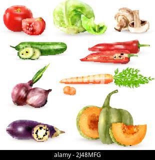 Vegetables decorative icons collection with cucumbers eggplant onions mushrooms carrot cabbage tomato images in realistic style isolated vector illust Stock Vector