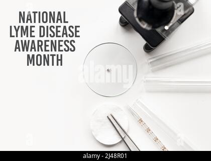 Concept for National Lyme Disease Awareness Month. Abstract medical laboratory. Research of ixodid ticks, which are carriers for Lyme disease spiroche Stock Photo