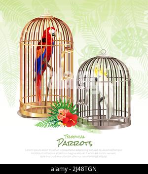 Bird market parrots poster with realistic images of rare birds in cumbersome cages with editable text vector illustration Stock Vector