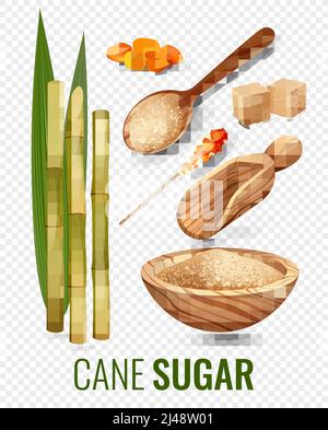 Cane sugar transparent set with spoon and bowl cartoon isolated vector illustration Stock Vector