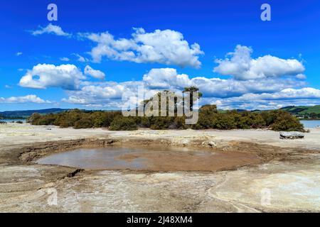 'Cameron's Laughing Gas Pool', a mudpit on the shore of Lake Rotorua, New Zealand, named for the intoxicating gases that rise from it Stock Photo