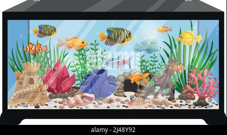 Aquarium seaweeds and decoration flora vector Stock Vector Image