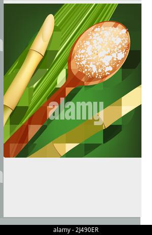 Cane sugar with leaves. Set of Sugarcane plants. Stalks and bottle of