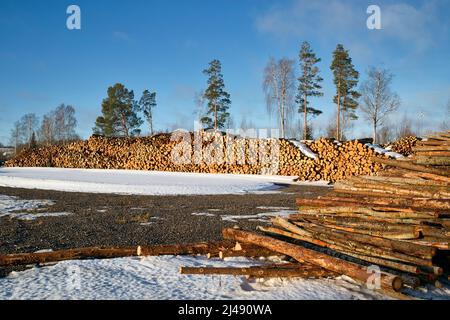 Stacks of tree trunks ready for transport in springtime, Finland Stock Photo