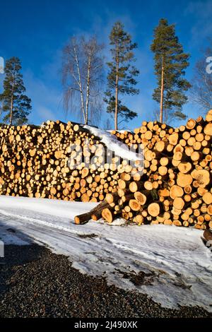 Stacks of tree trunks ready for transport in springtime, Finland Stock Photo