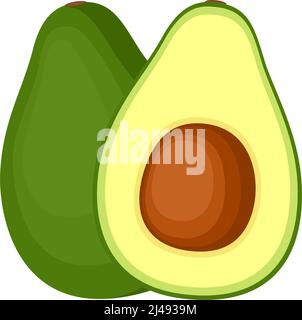 Avocado, whole fruit and half, vector illustration Stock Vector