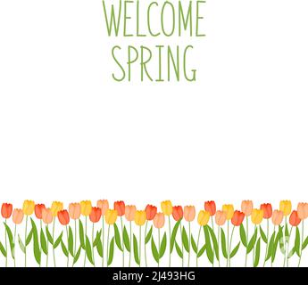 Flowers background with tulips. Banner welcome spring with handwritten lettering. Vector illustration Stock Vector