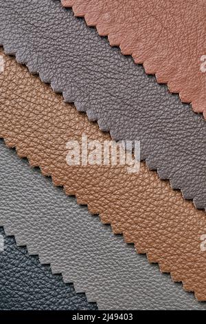 Samples of beige, brown, gray black leather. Leather crafts and craftwork. View from above. Stock Photo