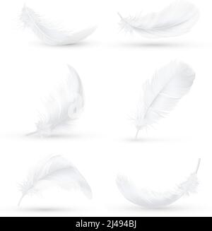 Realistic white bird feathers images set in 6 various positions and angles with shadow isolated vector illustration Stock Vector