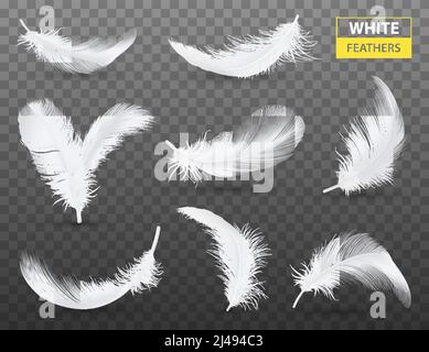 Set of isolated falling white fluffy twirled feathers on transparent background in realistic style vector illustration Stock Vector