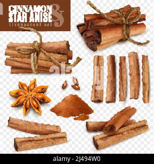 Set of cinnamon sticks with powder and star anise isolated on transparent background vector illustration Stock Vector