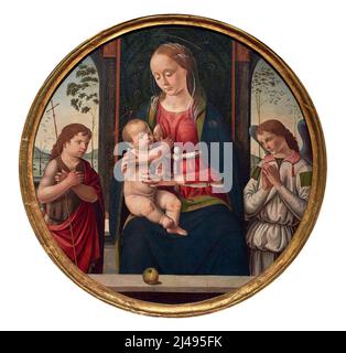 Madonna col Bambino, San Giovannino e un angelo   - olio su tavola  - Biagio d’ Antonio Tucci   - 1495 - Ferrara, Pinacoteca Nazionale Stock Photo