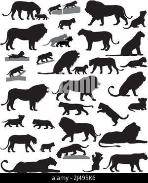 Collection of silhouettes of lions and lion cubs Stock Vector
