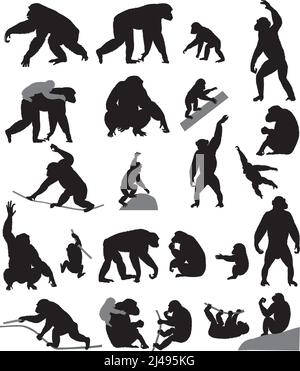 Collection of silhouettes of chimpanzees and its cubs Stock Vector