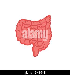 Human intestines illustration isolated on white background Stock Vector