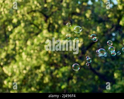 Soap bubbles on green nature background. Stock Photo