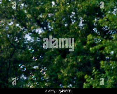 Soap bubbles on green nature background. Stock Photo