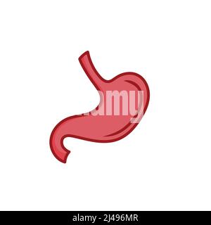 Human Stomach illustration isolated on white background Stock Vector