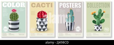Blooming cacti varieties 4 realistic mini posters set with popular house plants in  decorative pots vector illustration Stock Vector