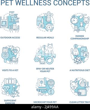 Pet wellness turquoise concept icons set Stock Vector