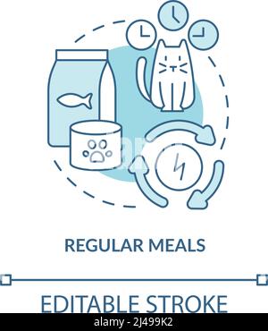Regular meals turquoise concept icon Stock Vector