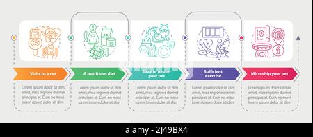 Proper pet care routine rectangle infographic template Stock Vector
