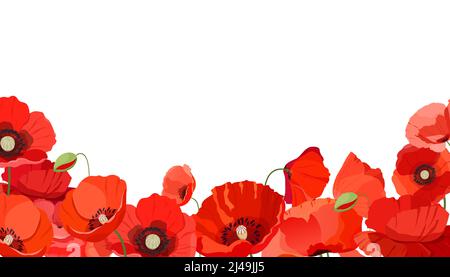 Horizontal background with realistic red poppies Stock Vector