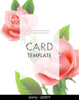Greeting card template with pink roses and transparent frame on white background. Wedding, Mothers Day, dating. Event concept. Can be used for invitat Stock Vector