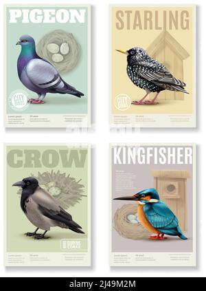 Birds banners collection with four rectangular vertical banners colourful images of various birds and editable text vector illustration Stock Vector