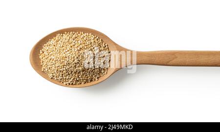 Raw quinoa grains in a large wooden spoon isolated on a white background. Cooking dry chenopodium quinoa macro. Superfood for gluten free dieting. Stock Photo