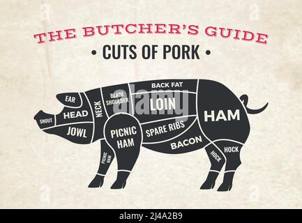 Butchery diagram with silhouette of pig and cuts of pork on background of old paper vector illustration Stock Vector