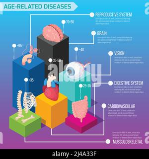 Age related human diseases infographics layout with statistic of defeat of internal organs and biological systems isometric vector illustration Stock Vector