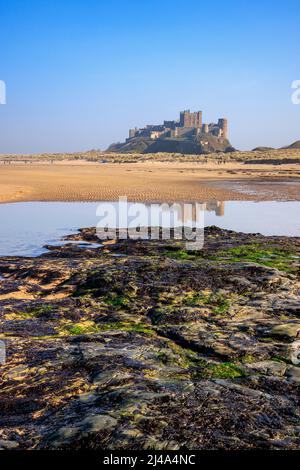 Bamburgh Castle reflected in a rock pool on Bamburgh Beach, Northhumberland, England Stock Photo