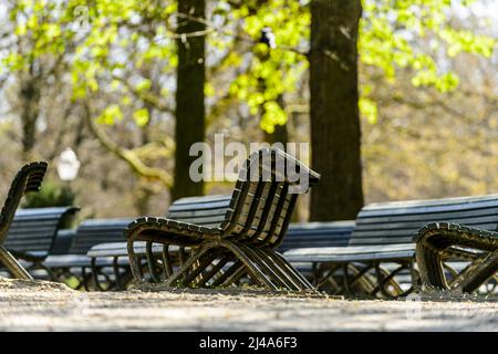 Bancs Publics dans le parc de Bruxelles |  Public Benches in the Parc of Brussels Stock Photo