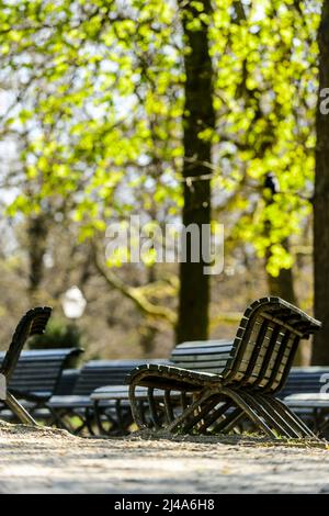 Bancs Publics dans le parc de Bruxelles |  Public Benches in the Parc of Brussels Stock Photo