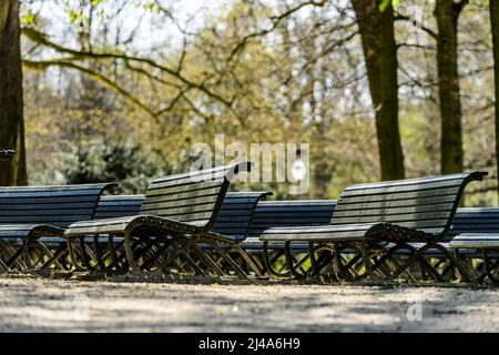 Bancs Publics dans le parc de Bruxelles |  Public Benches in the Parc of Brussels Stock Photo