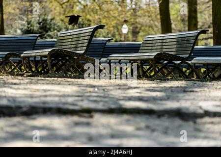 Bancs Publics dans le parc de Bruxelles |  Public Benches in the Parc of Brussels Stock Photo