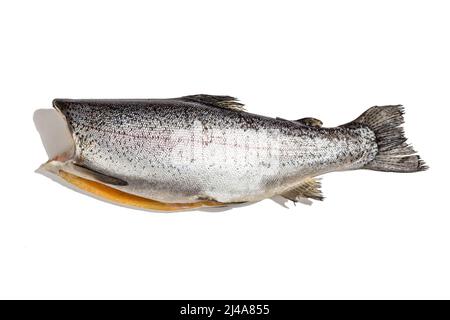 Raw trout carcass isolated on a white background. Sea fish, healthy food, mockup, flat lay, template. A trendy hard light, dark shadow Stock Photo