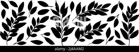 Set of tropical leaves in black silhouettes. Stock Vector