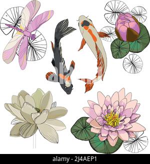 Colorful drawing lotus set with flowers buds leaves fishes and dragonfly on white background isolated vector illustration Stock Vector