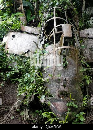 Crashed Japanese Zero fighter plane in Peleliu, Palau Stock Photo