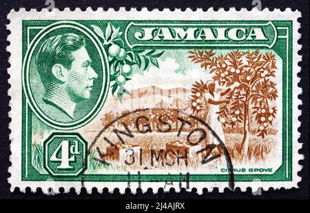 JAMAICA - CIRCA 1938: a stamp printed in Jamaica shows Citrus Grove, circa 1938 Stock Photo