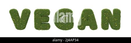 Word 'vegan' made of realistic grass with dandelions. Isolated on white background. 3D image Stock Photo