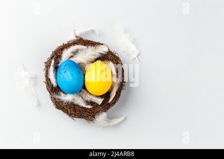 Ukrainian Easter Eggs painted Blue and Yellow in the nest with feathers. National flag colors. Support Ukraine Stock Photo