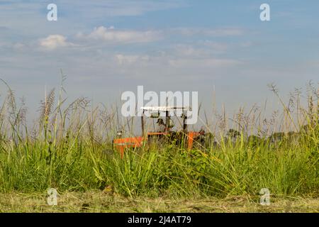 Goiânia, Goias, Brazil – April 12, 2022:  A tractor working in the middle of a lot of grass, with the sky in the background. Stock Photo